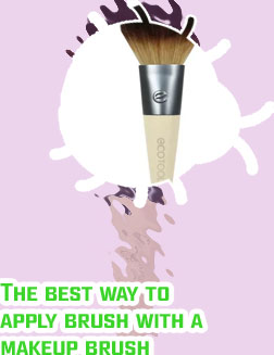 Best powder blush brush