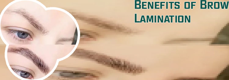 Laminated eyebrows
